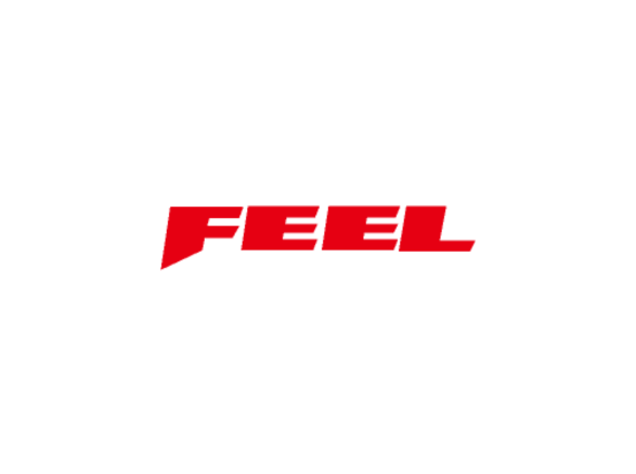 FEEL